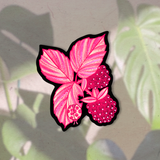 Wild Raspberries | Vinyl Sticker